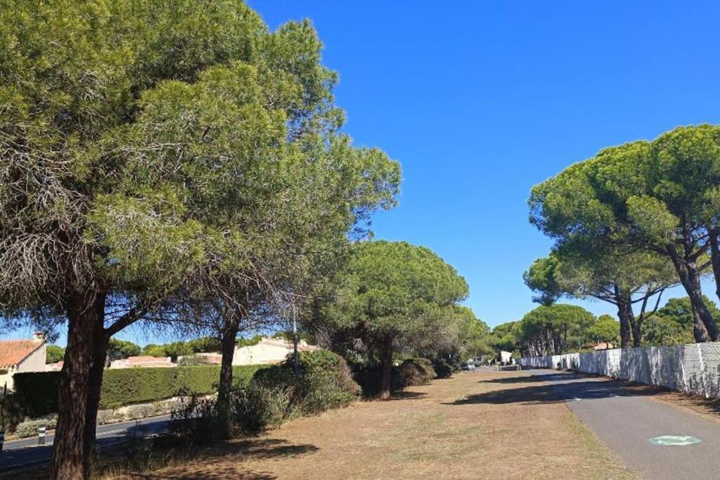Studio Au Cap D'Agde Dans Les Pinedes Dış mekan fotoğraf