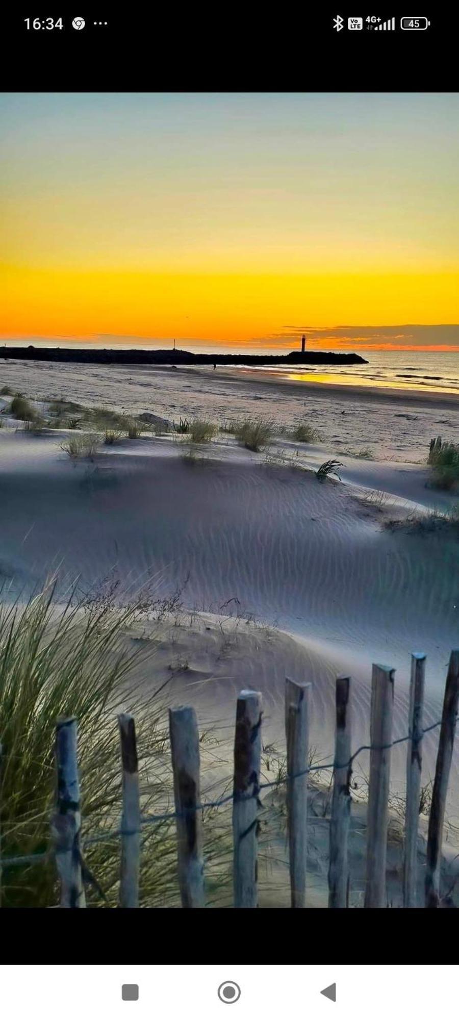 Studio Au Cap D'Agde Dans Les Pinedes Dış mekan fotoğraf